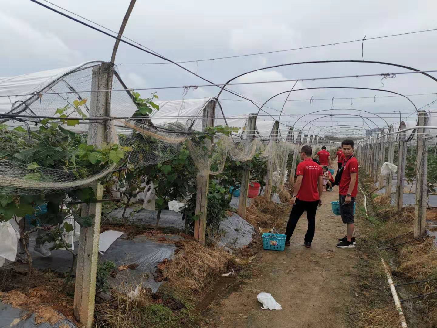 總結(jié)大會 總結(jié)大會