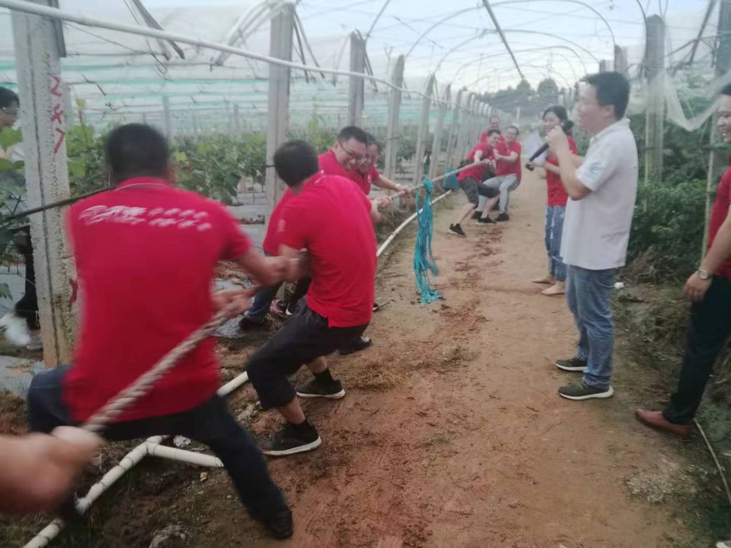 總結(jié)大會 總結(jié)大會